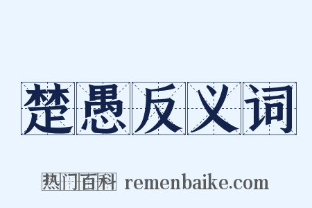楚愚反义词是什么意思的图片